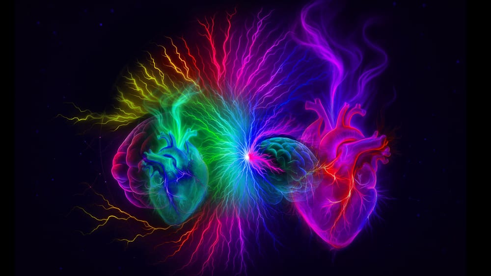 When The Heart Thinks And Thoughts Feel