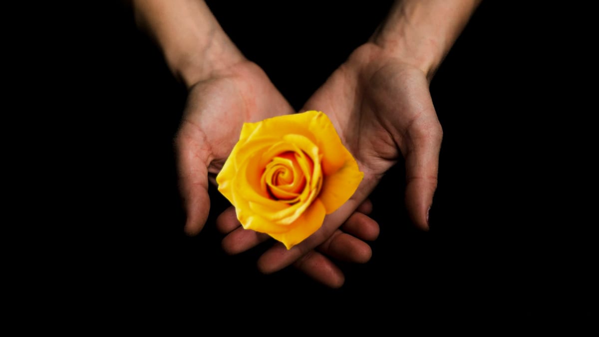 Compassion ~ Presence Without Performance