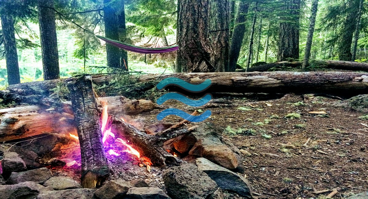 Flow ~ The Quiet Revolution Of Returning To Yourself